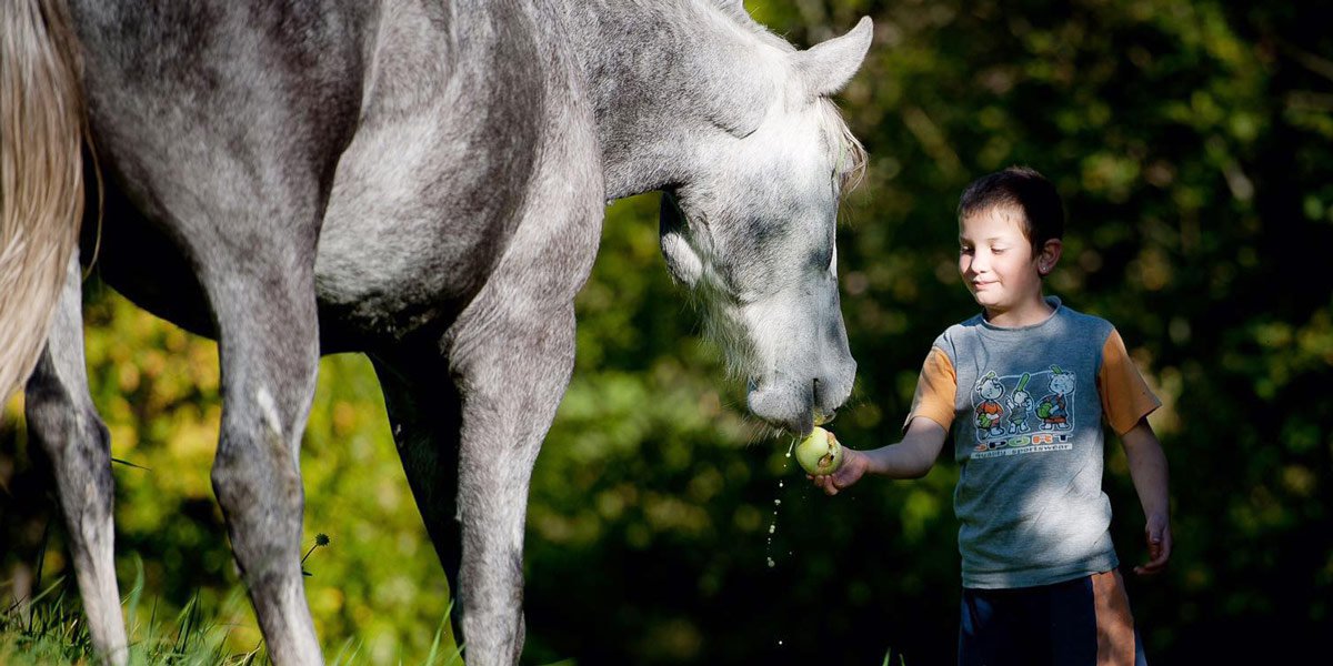 Vacanze in famiglia al maso Pechererhof – un avventura per adulti e bambini