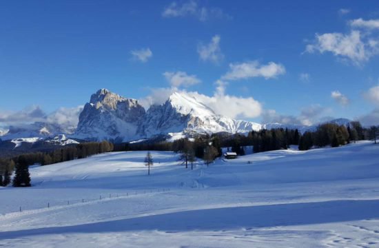 pechererhof-fiè-allo-sciliar-alpe-di-suisi-alto-adige (10)