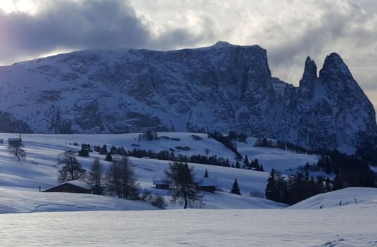 pechererhof-fiè-allo-sciliar-alpe-di-suisi-alto-adige (11)