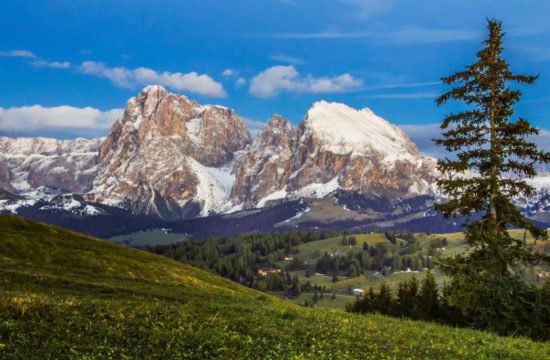 pechererhof-voels-am-schlern-seiser-alm-suedtirol (21)