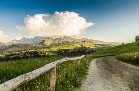 pechererhof-voels-am-schlern-seiser-alm-suedtirol (22)