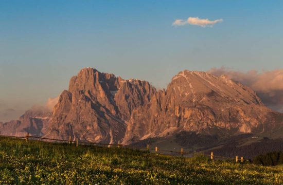 pechererhof-fiè-allo-sciliar-alpe-di-suisi-alto-adige (23)