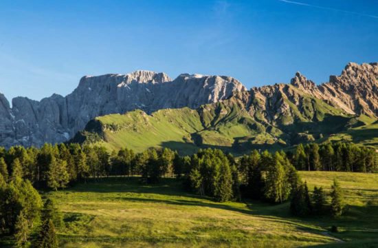 pechererhof-fiè-allo-sciliar-alpe-di-suisi-alto-adige (25)