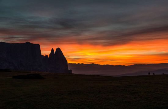 Urlaub am Bauernhof - Pechererhof in Voels am Schlern / Südtirol 10