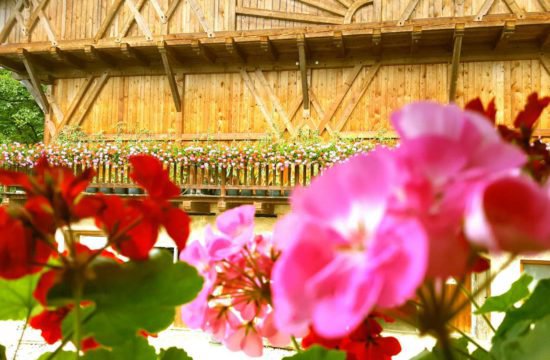 Urlaub am Bauernhof - Pechererhof in Voels am Schlern / Südtirol 2