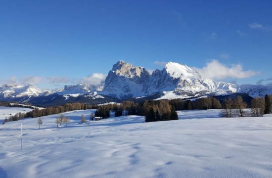 Urlaub am Bauernhof - Pechererhof in Voels am Schlern / Südtirol 5