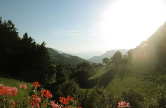 Urlaub am Bauernhof - Pechererhof in Voels am Schlern / Südtirol 8