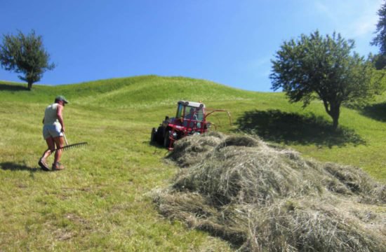 wandern-voels (2)