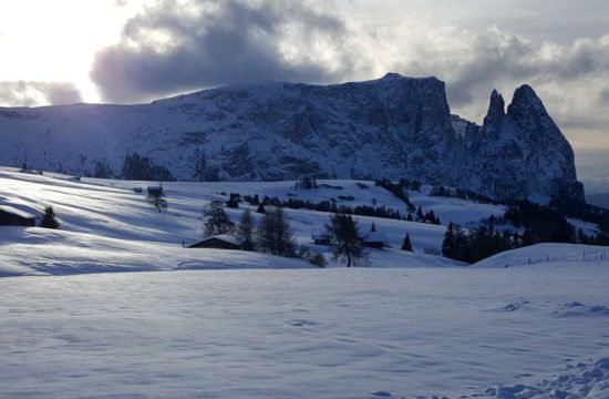 winterurlaub-auf-dem-bauernhof (1)