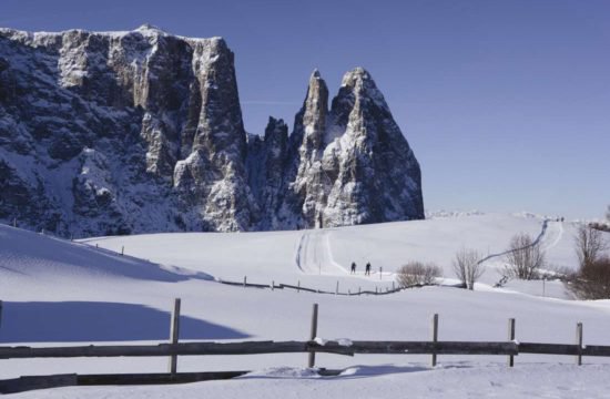 winterurlaub-auf-dem-bauernhof (2).